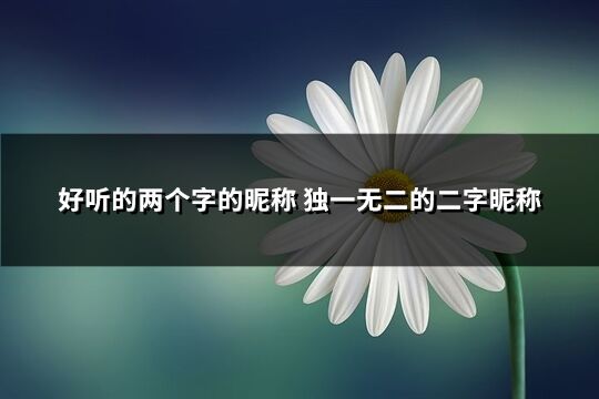 好听的两个字的昵称 独一无二的二字昵称(共1629个)