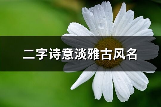 二字诗意淡雅古风名(精选409个)