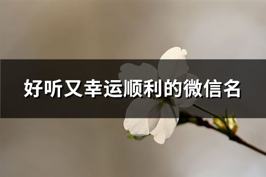 好听又幸运顺利的微信名(优选544个)