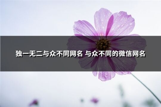 独一无二与众不同网名 与众不同的微信网名(精选787个)