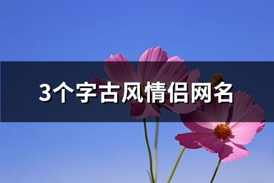 3个字古风情侣网名(313个)