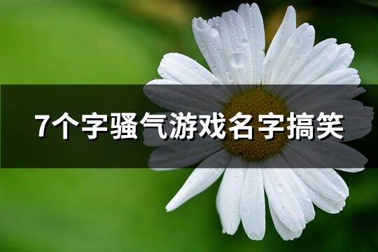 7个字骚气游戏名字搞笑(526个)