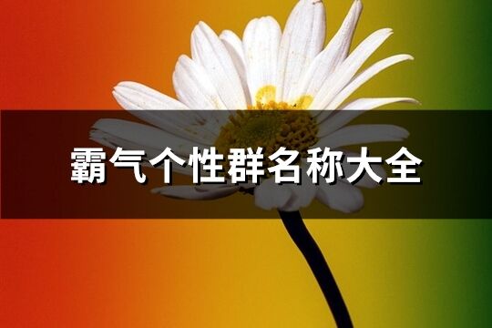 霸气个性群名称大全(优选215个)