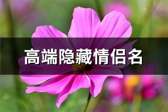 高端隐藏情侣名(精选69个)