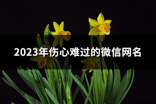 2023年伤心难过的微信网名(共474个)