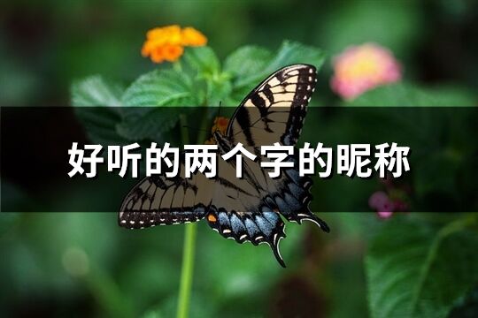 好听的两个字的昵称(优选2207个)