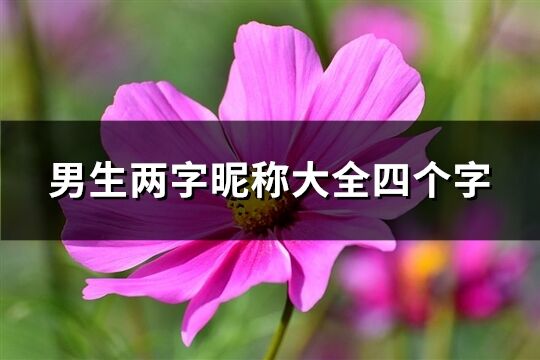 男生两字昵称大全四个字(优选184个)