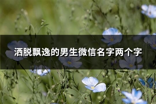 洒脱飘逸的男生微信名字两个字(优选1729个)