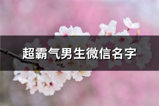 超霸气男生微信名字(精选507个)