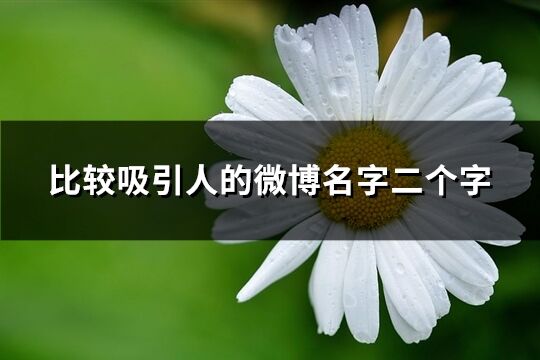 比较吸引人的微博名字二个字(优选859个)