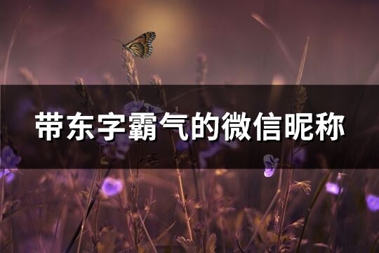 带东字霸气的微信昵称(精选36个)