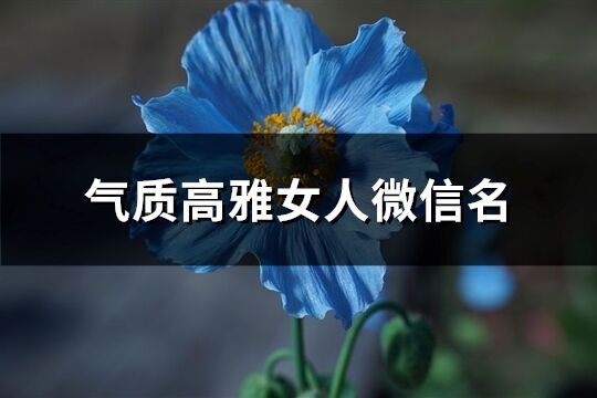 气质高雅女人微信名(优选470个)