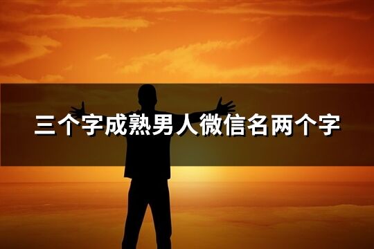 三个字成熟男人微信名两个字(共371个)