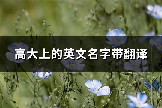 高大上的英文名字带翻译(共90个)