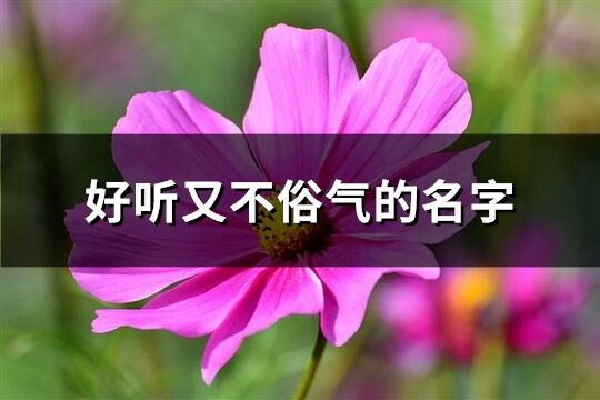 好听又不俗气的名字(优选253个)