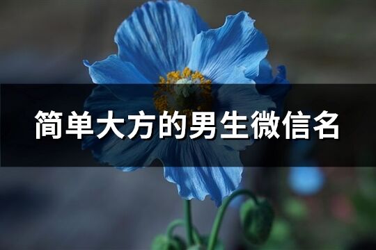 简单大方的男生微信名(优选186个)