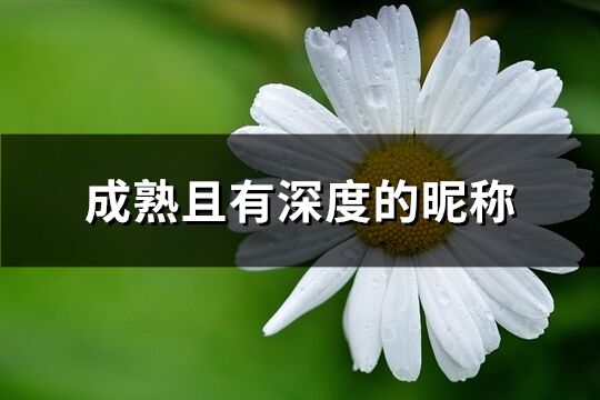 成熟且有深度的昵称(优选826个)