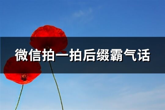 微信拍一拍后缀霸气话(共104个)