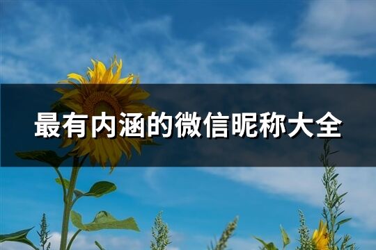 最有内涵的微信昵称大全(601个)