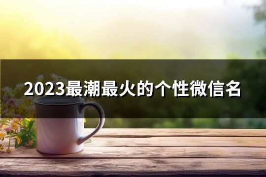 2023最潮最火的个性微信名(2941个)