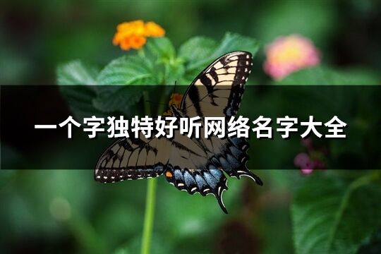 一个字独特好听网络名字大全(优选303个)