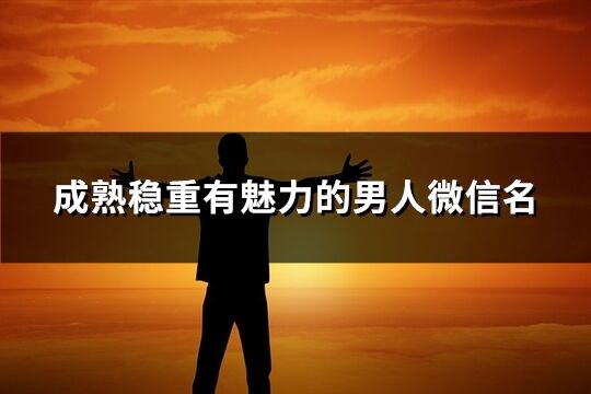 成熟稳重有魅力的男人微信名(368个)