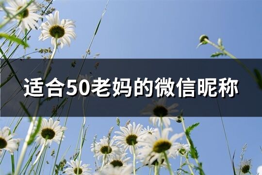 适合50老妈的微信昵称(311个)