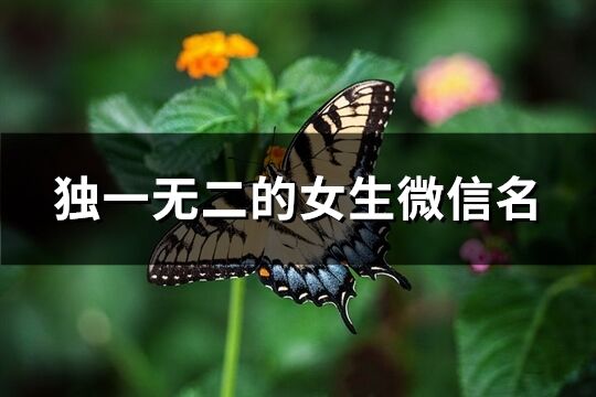 独一无二的女生微信名(380个)