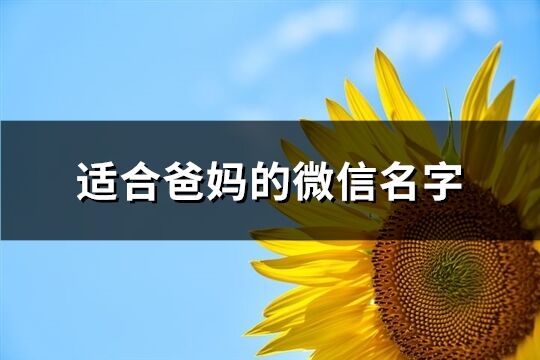 适合爸妈的微信名字(精选206个)