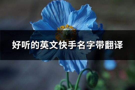 好听的英文快手名字带翻译(85个)