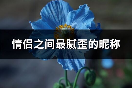 情侣之间最腻歪的昵称(88个)