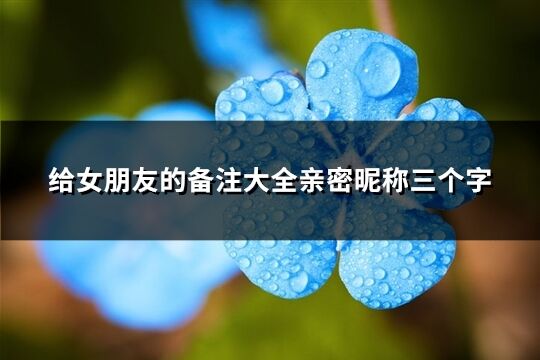 给女朋友的备注大全亲密昵称三个字(37个)