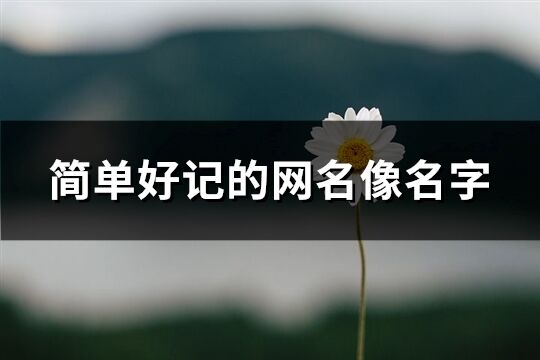 简单好记的网名像名字(精选312个)