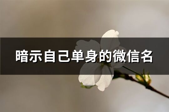 暗示自己单身的微信名(优选80个)