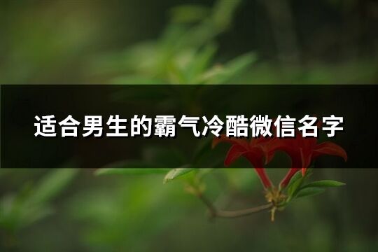 适合男生的霸气冷酷微信名字(共336个)