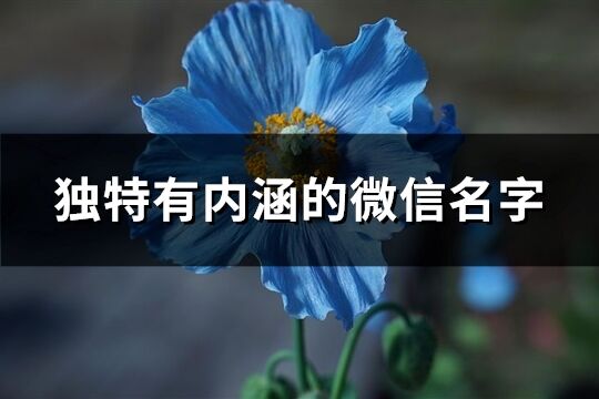 独特有内涵的微信名字(优选276个)