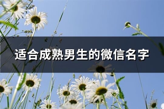 适合成熟男生的微信名字(2199个)