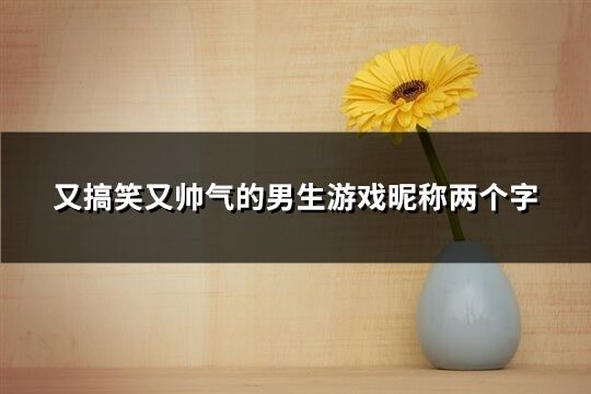 又搞笑又帅气的男生游戏昵称两个字(769个)