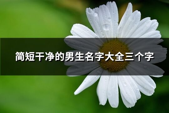 简短干净的男生名字大全三个字(720个)