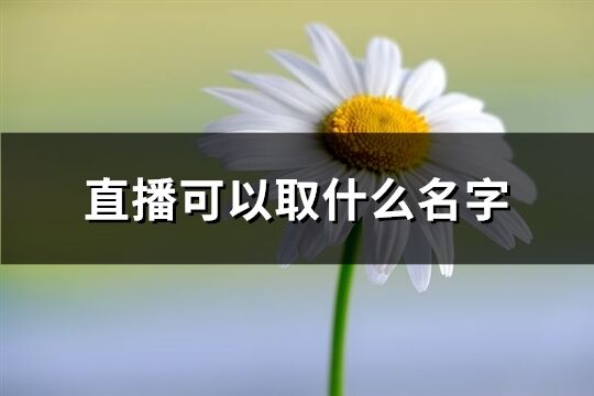 直播可以取什么名字(共93个)