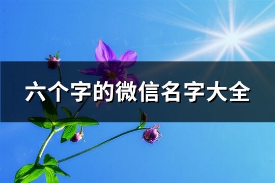 六个字的微信名字大全(共413个)