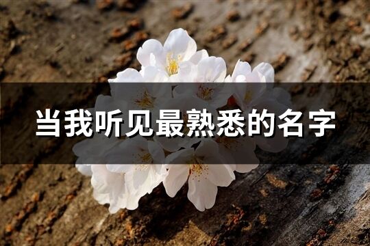 当我听见最熟悉的名字(精选70个)