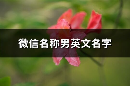 微信名称男英文名字(共113个)