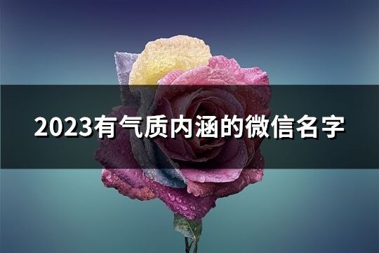 2023有气质内涵的微信名字(2572个)