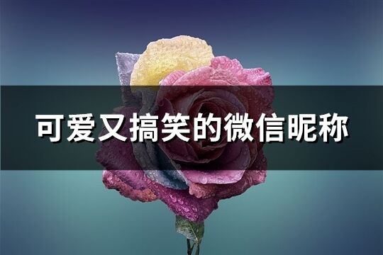 可爱又搞笑的微信昵称(113个)