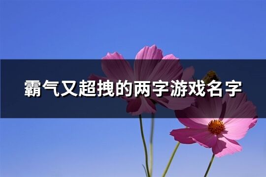 霸气又超拽的两字游戏名字(721个)