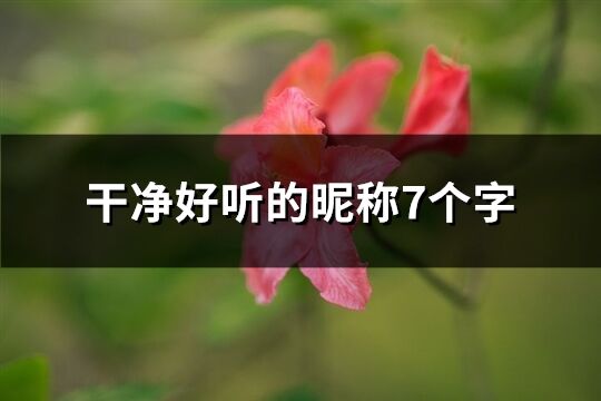 干净好听的昵称7个字(208个)