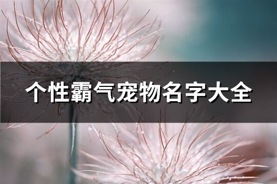 个性霸气宠物名字大全(优选89个)