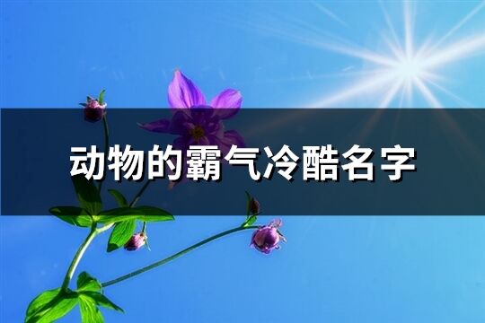 动物的霸气冷酷名字(精选107个)