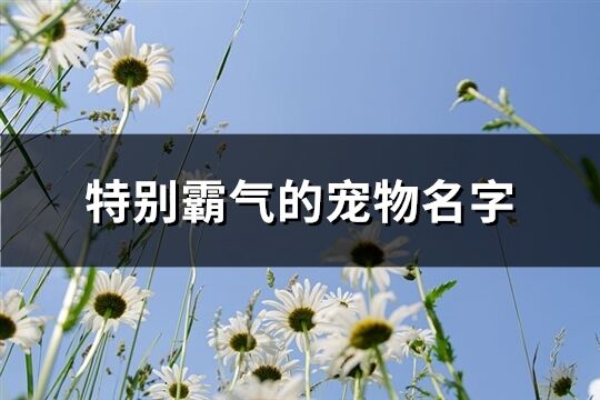 特别霸气的宠物名字(66个)